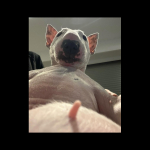 Євген з міста Запоріжжя