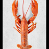 Lobster