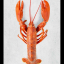 Lobster