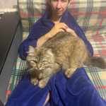 паша з міста Харків